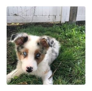 Meet your Posher, Kay